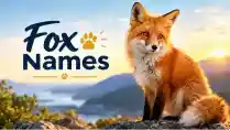 clever-fox-names-with-names-generator