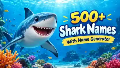 shark-names-with-name-generator
