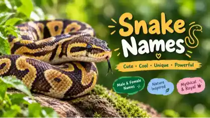 snake-names-with-name-generator