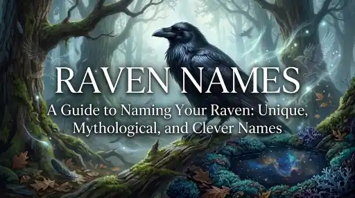 Raven Names With Name Generator